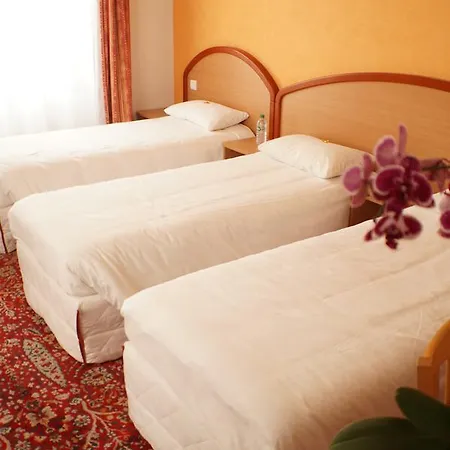 Logis Du Commerce Hotel 3*